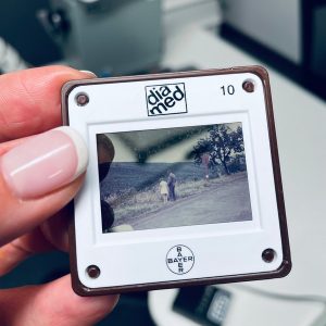 Donata Bijeike, Just Imag(in)e, Lithuania